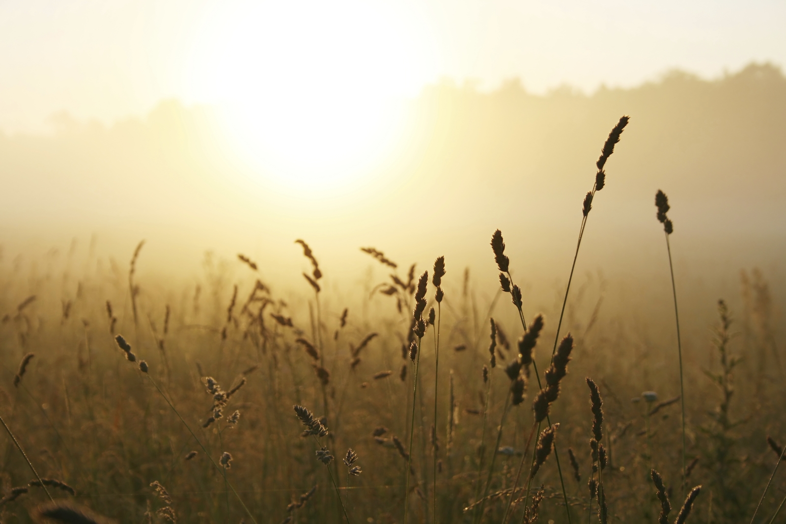 Sun across the prarie