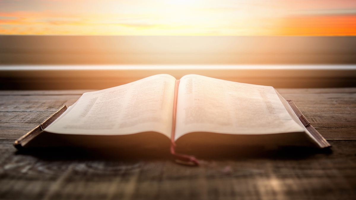 An open book against the background of the rising sun