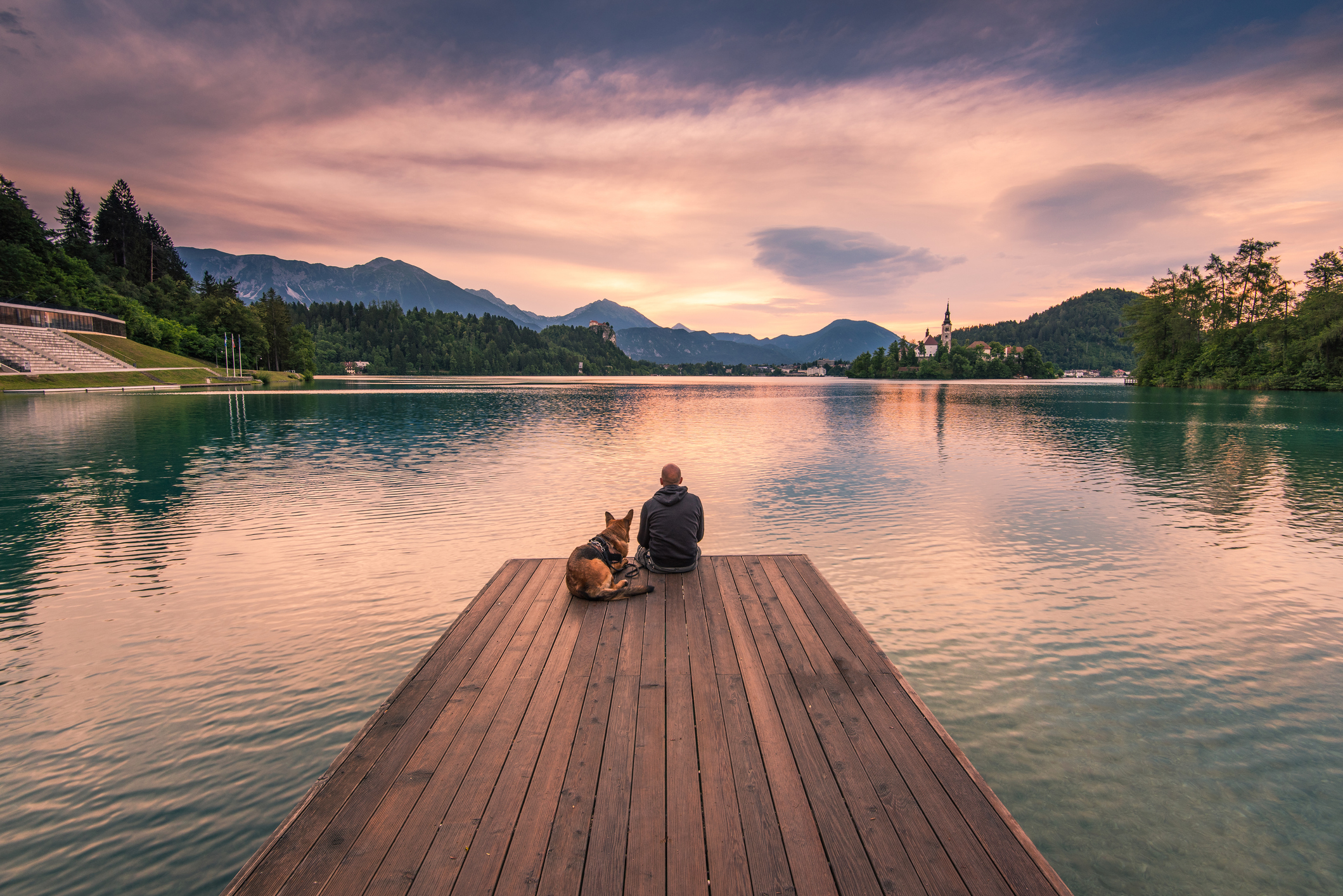 Man and dog sitting on wooden deck at Bled lake