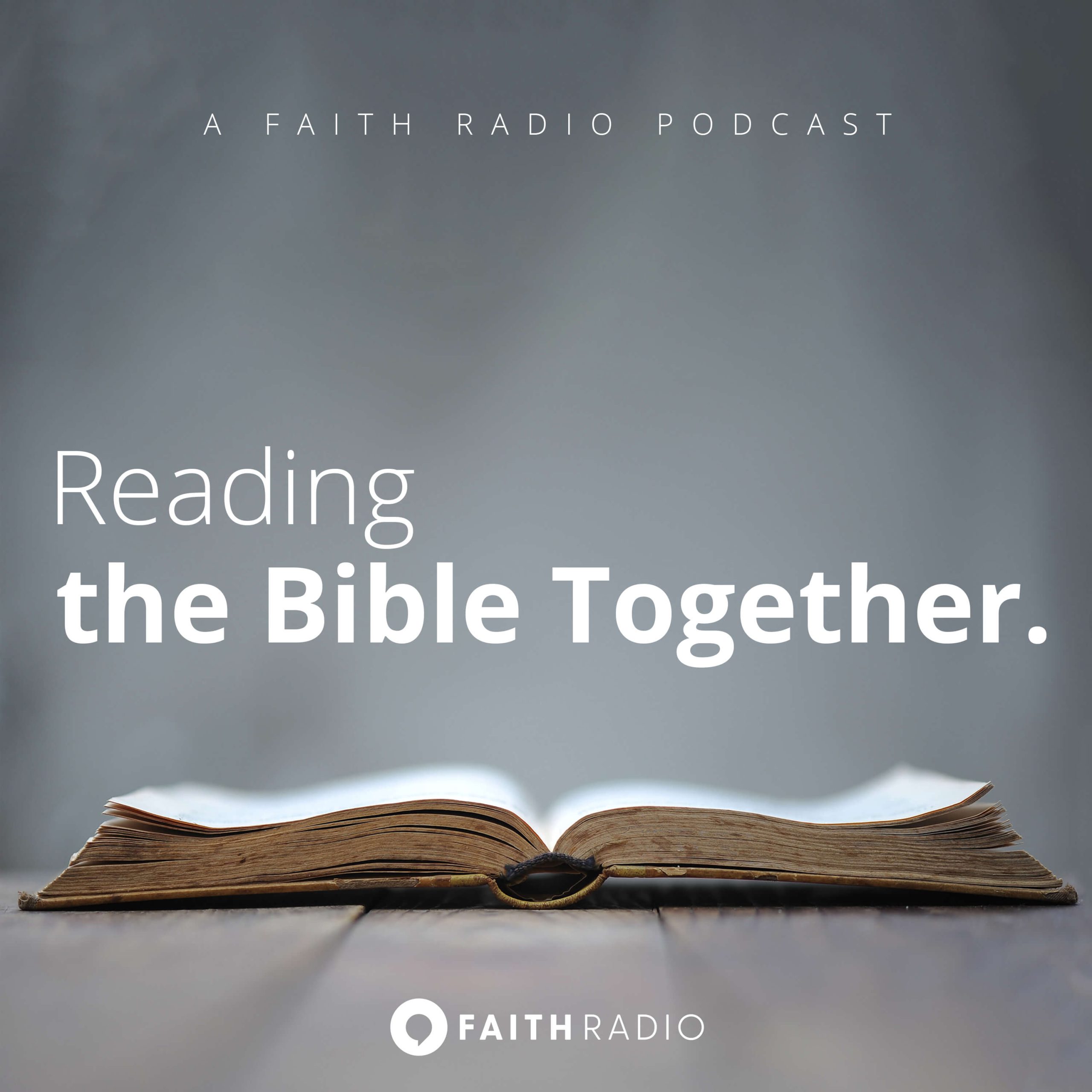 Reading the Bible Together banner