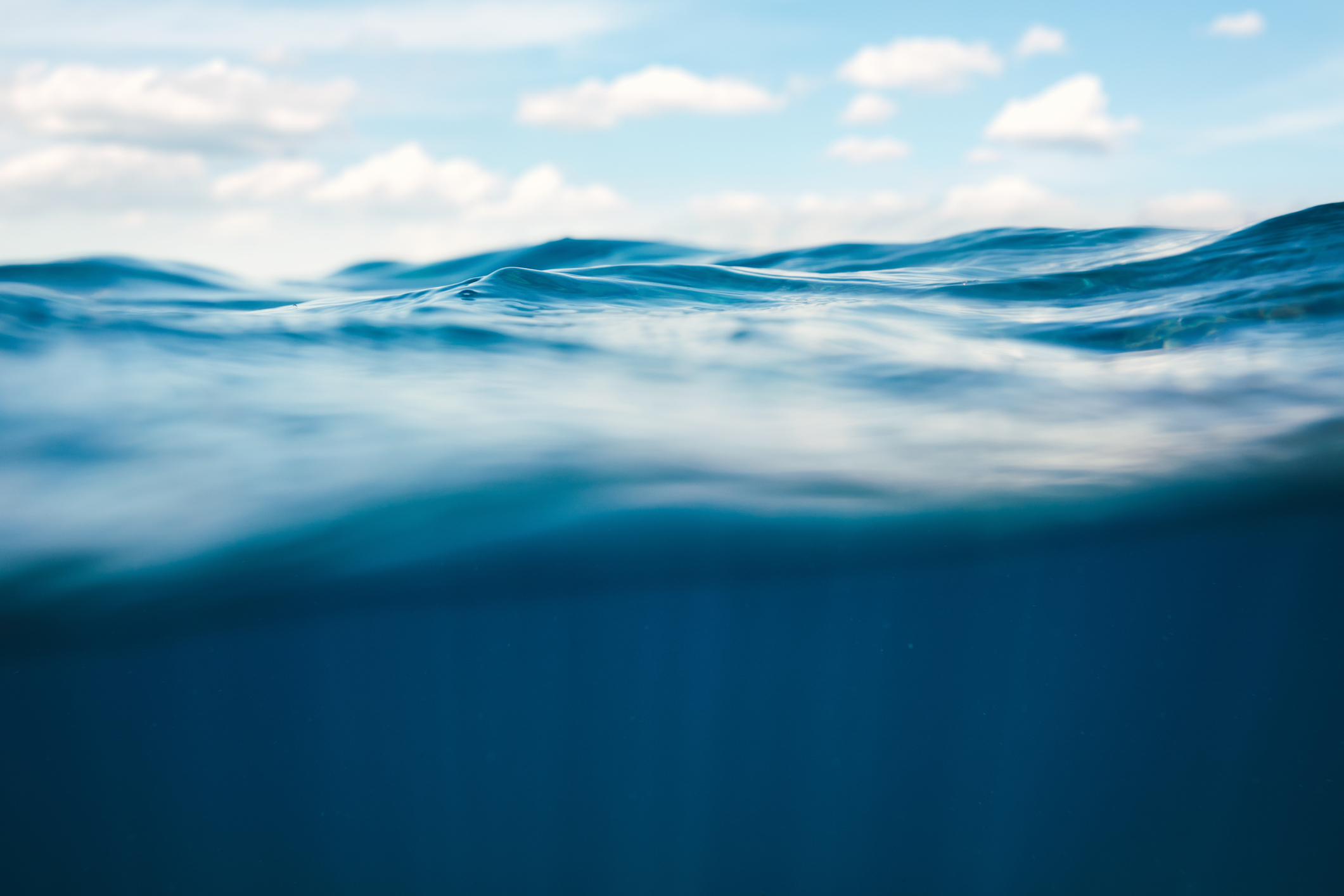 Underwater View