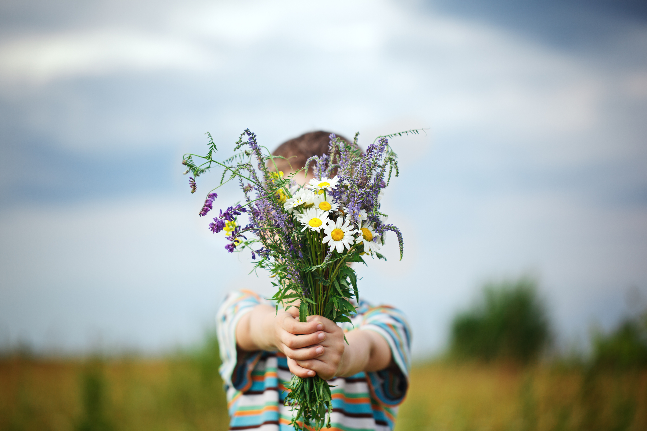 Little kid boy in meadow bouquet of flowers at the countryside
