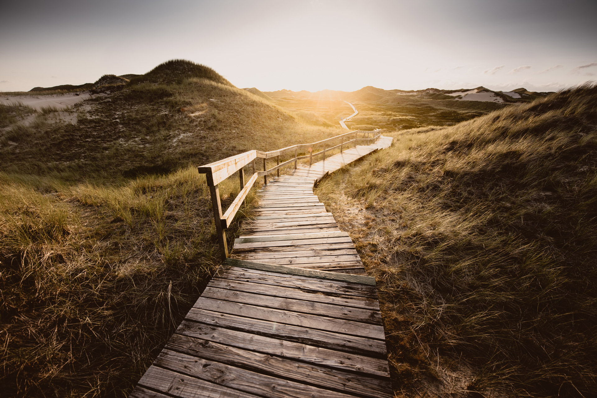 Wood bridge path