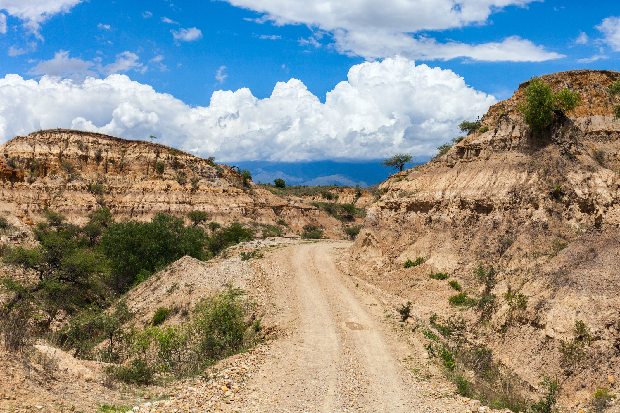 A deserted road to the gorge dry lands