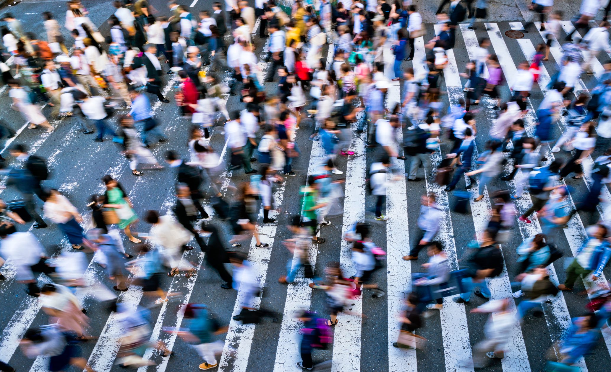Busy Zebra crossing in Japan