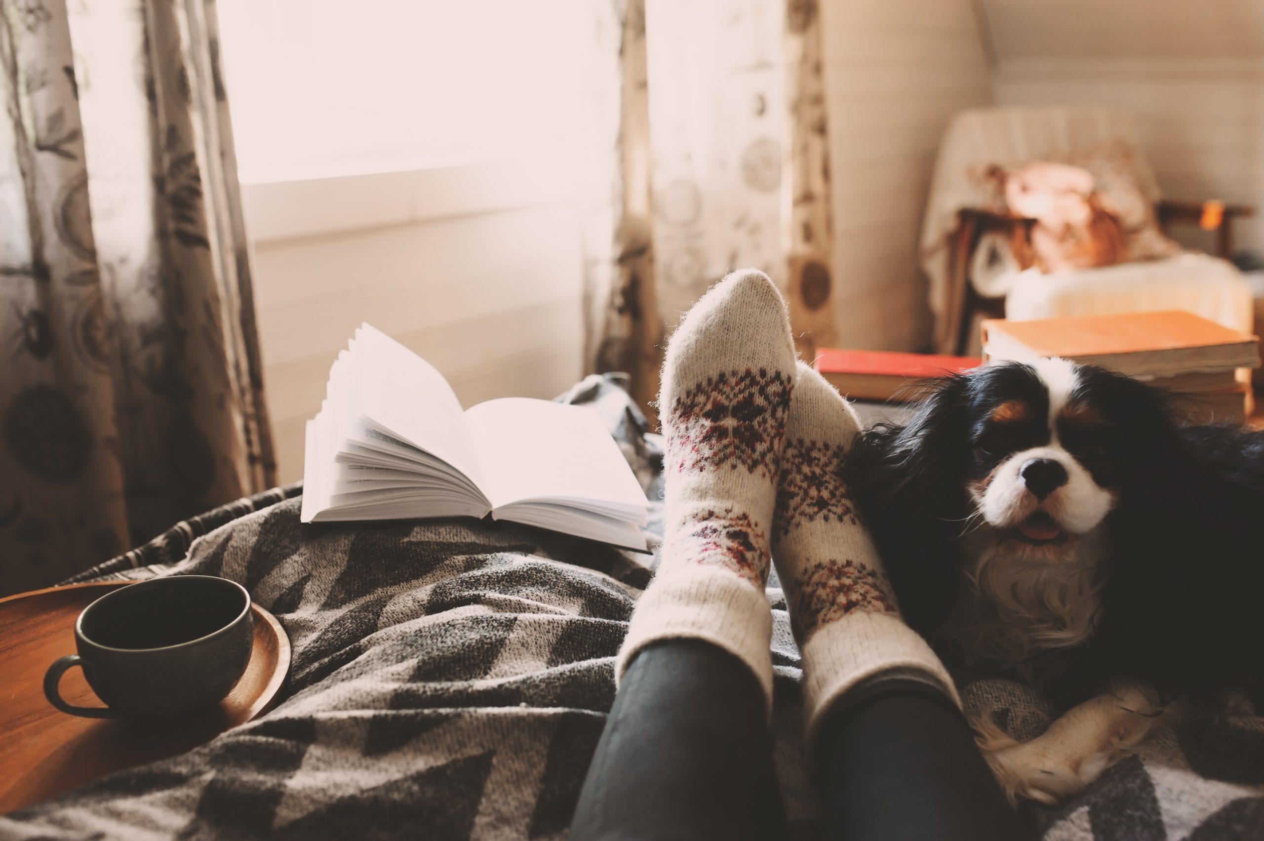 Cozy winter day at home with cup of hot tea, book and sleeping dog