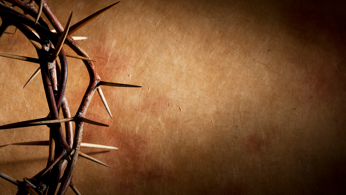 Crown of thorns