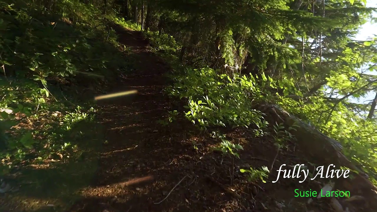 Path in the forest