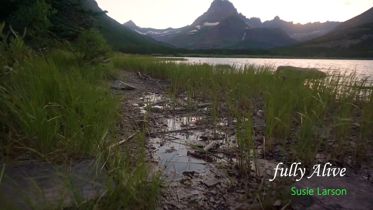 A wet meadow by the lake