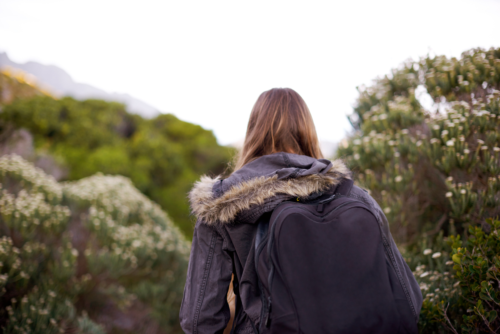 Rearview shot of a young woman hiking through nature