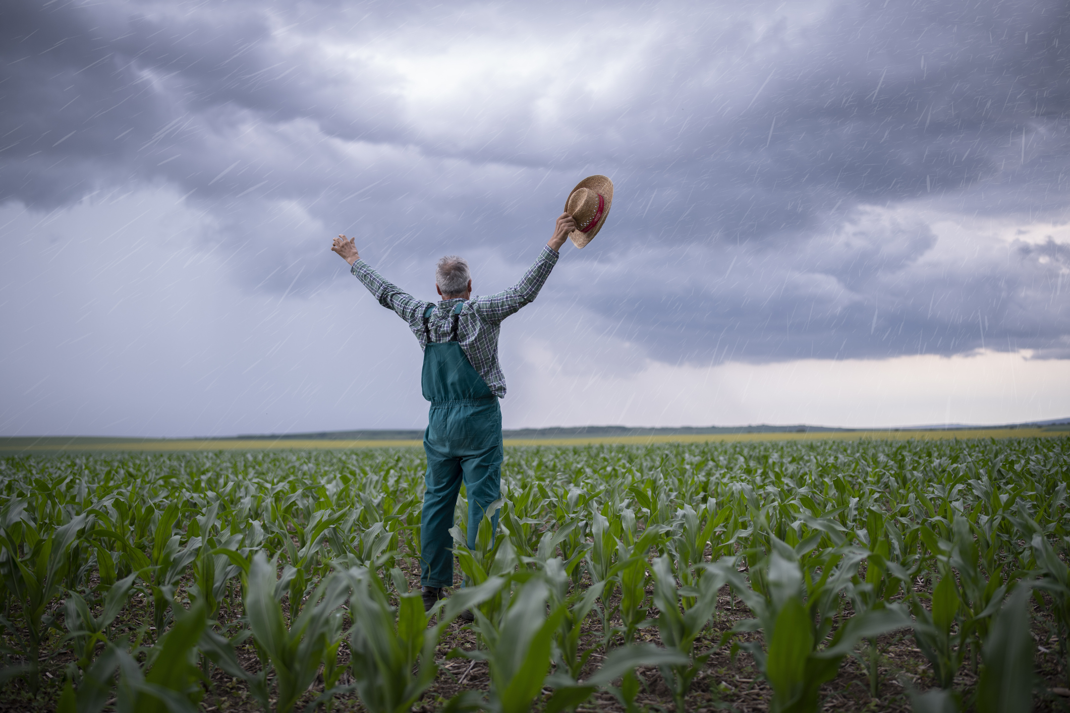 Senior farmer calling for rain on agriculture fields