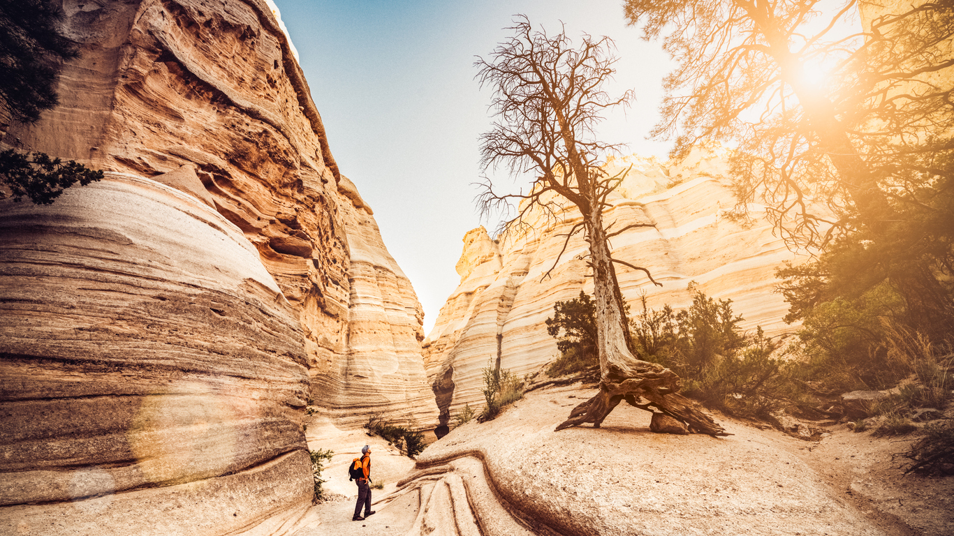 The sun shining over the canyon