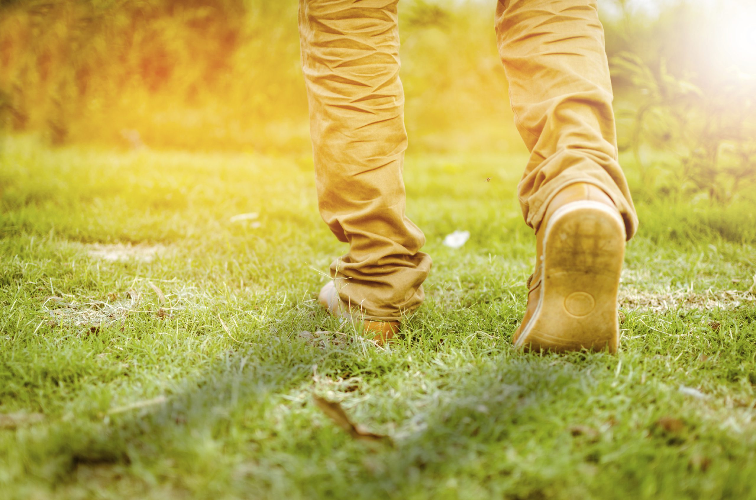 A walk on the lawn