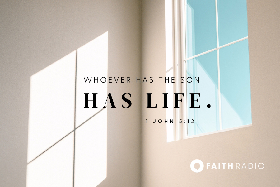 1 John 5:11-12