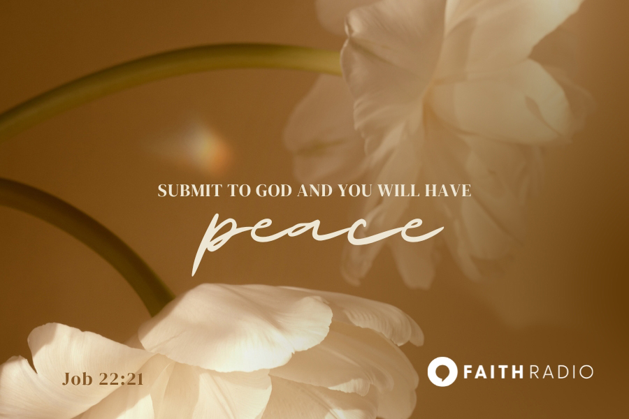 Job 22:21-22
