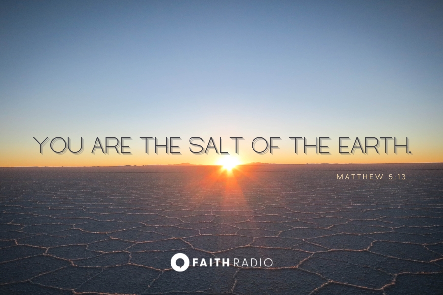 Matthew 5:13