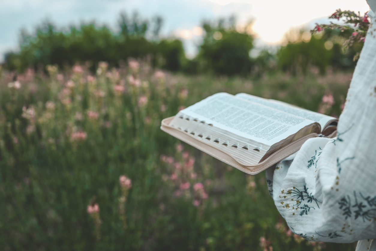 Open bible in hands close-up.